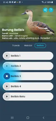 Suara Ruak-Ruak android App screenshot 2