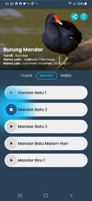 Suara Ruak-Ruak android App screenshot 3