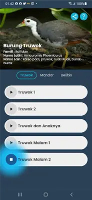 Suara Ruak-Ruak android App screenshot 4